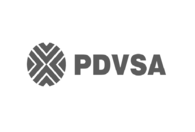 Pdvsa Logo